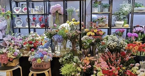 绿植店
